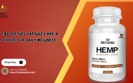 Why CBD Softgel Capsules Are a Top Choice for Daily Wellness