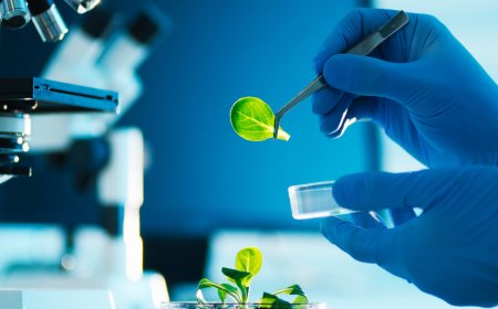 Global Biotechnology Market Poised for Robust Growth Due to Innovations in Healthcare, Agriculture, and Genetic Engineering