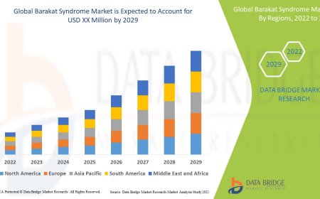 Barakat Syndrome Market Scope: Growth, Share, Value, Size, and Trends