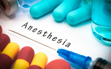 Europe Respiratory Care Devices Market Poised for Robust Growth Driven by Technological Innovation and Homecare Expansion