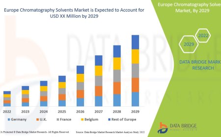 Europe Chromatography Solvents Market Overview: Growth, Share, Value, Size, and Scope