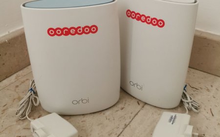 Using the Orbi Router Login to Access Your Network