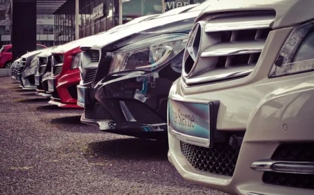 "Designing the Future: Trends Every Graphic Designer Should Know"