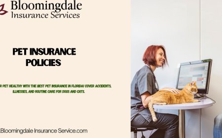 Pet Insurance Policies for Every Pet Parent | Bloomingdale Insurance Services