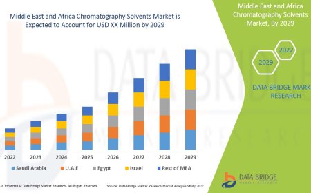 Middle East and Africa Chromatography Solvents Market Overview: Growth, Share, Value, Size, and Analysis