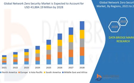 Network Zero Security Market Trends, Insights and Future Outlook