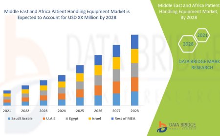 Middle East and Africa Patient Handling Equipment Market Size: Growth, Share, Value, Trends, and Analysis