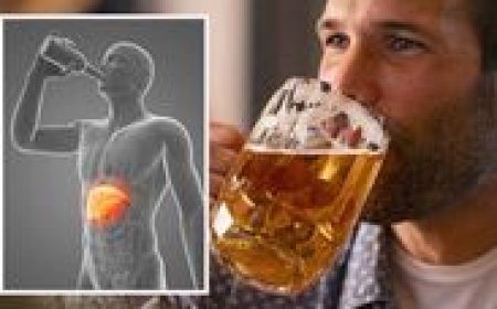 Alcohol and Your Liver: What You Need to Know Before It’s Too Late