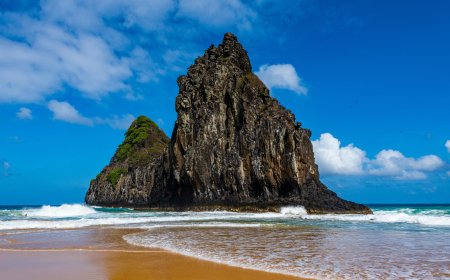 A Complete Guide to the Turkish Airlines New York City Office