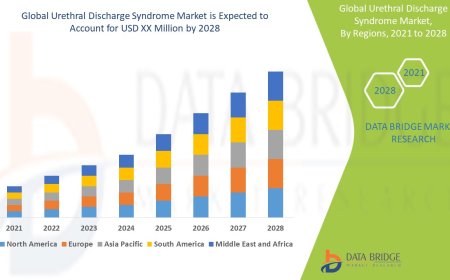 Urethral Discharge Syndrome Market Graph: Growth, Share, Value, Insights, and Trends