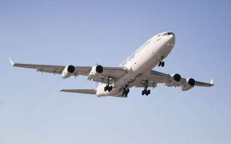 Breeze or Norse—Who to Call First in an Emergency?