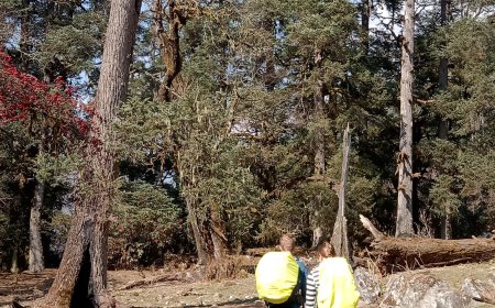 Manaslu Circuit Trek Permits: How to obtain them (step-by-step instructions)