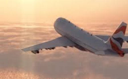 Staff coordination handled by Etihad Airways Phone Number New York