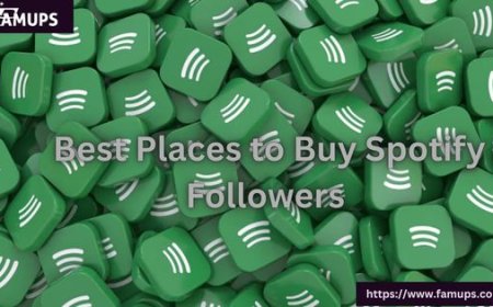 5 Best Places to Buy Spotify Followers for Fast Growth and Engagement