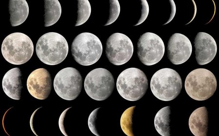 Cycles in the Sky: Art Inspired by Lunar Rhythms