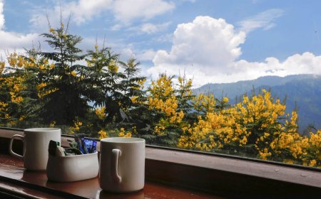 Escape to the Serenity of Ranikhet: Plan Your Ideal Long Weekend with Shivani Hotels