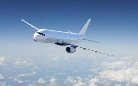 Volaris flight status