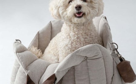 Exploring the World with Your Pet: Why a Dog Travel Suitcase is a Must-Have