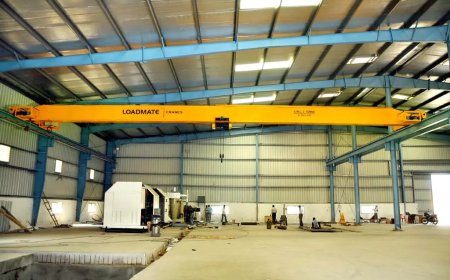The Backbone of Industrial Lifting: Exploring the Role and Future of EOT Cranes in Modern Industries