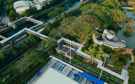 How Does an Industrial Wastewater Treatment Plant Work?