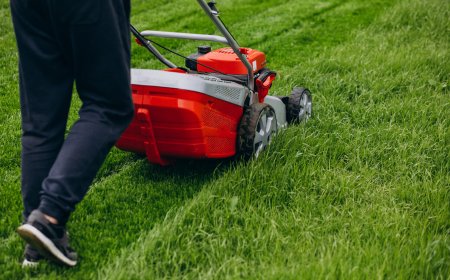 Key Business Benefits of Outsourcing Lawn Maintenance in Toronto