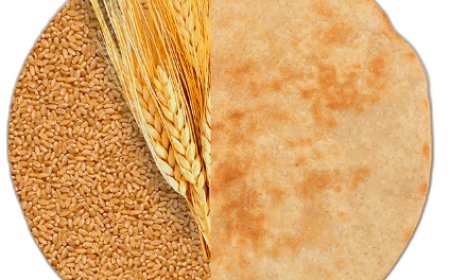 Taste of Tradition: Pure Ghee Khakhra for NRIs Missing Home