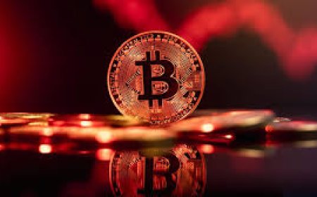 Cold Wallet vs. Hot Wallet: Which Is Safer for Your Crypto Assets?