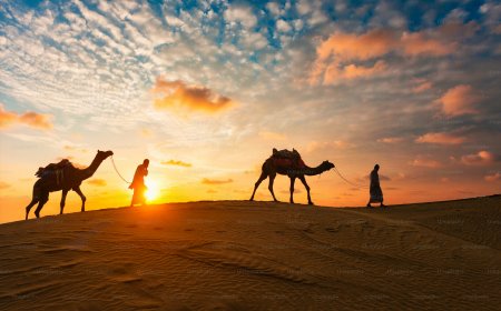 Top 10 Activities You Can Enjoy During a Desert Safari