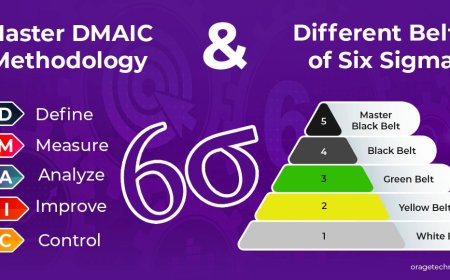 The Process Improvement Unlocked: Your Complete Guide to Six Sigma and the DMAIC Model