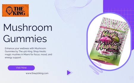 Exploring Daily Wellness with Mushroom Gummies from The 420 King