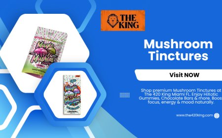 Buy Premium Mushroom Tinctures in Miami FL at The 420 King