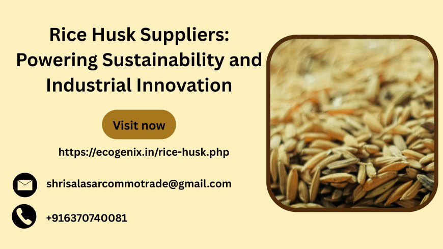 Rice Husk Suppliers: Powering Sustainability and Industrial Innovation