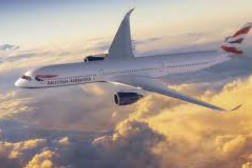 British Airways Phone Number Tampa for Booking & Questions