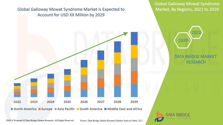 Galloway Mowat Syndrome Market Industry Statistics: Growth, Share, Value, and Trends