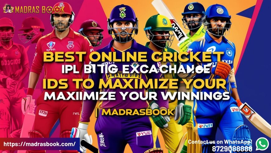 Best Online Betting Exchange ID for IPL, Cricket & Casino