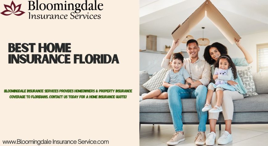 Best Home Insurance Florida by Bloomingdale Insurance Services