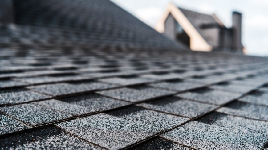 Professional Roofing Services That Safeguard Your Business Investment