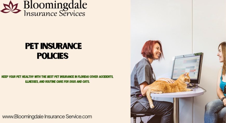 Pet Insurance Policies for Every Pet Parent | Bloomingdale Insurance Services