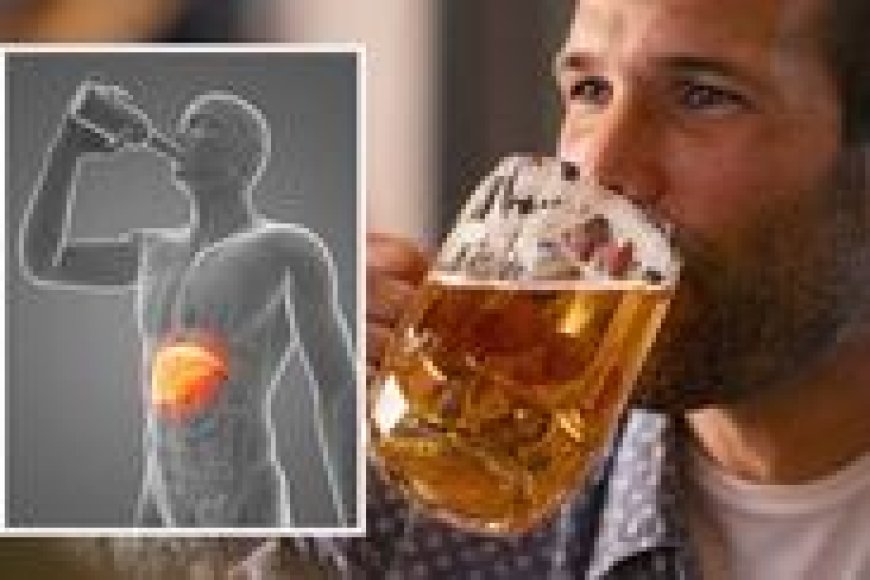 Alcohol and Your Liver: What You Need to Know Before It’s Too Late