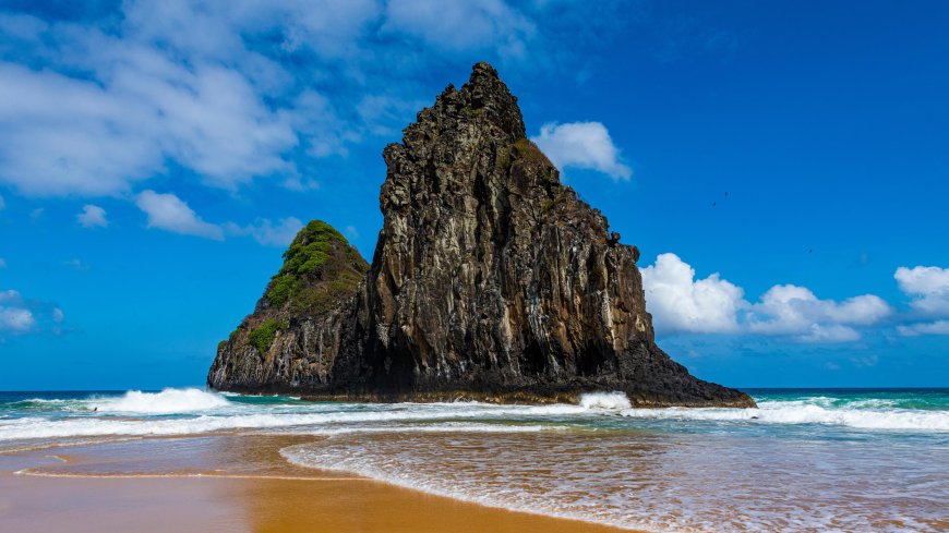 A Complete Guide to the Turkish Airlines New York City Office