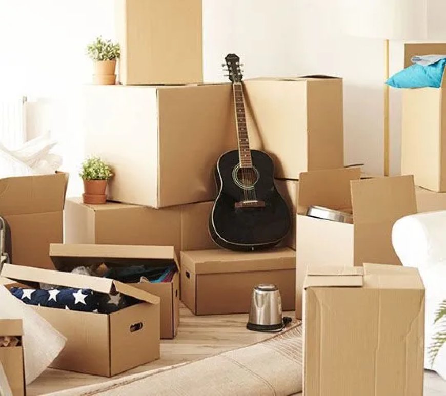 Top-Rated House Removalists in Hawthorn: Move With Confidence