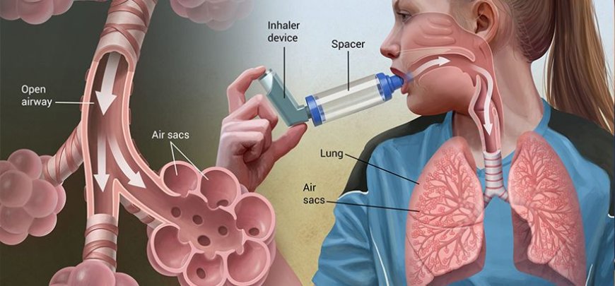 Breathe Easy at the Best Pulmonology Hospital in Navi Mumbai
