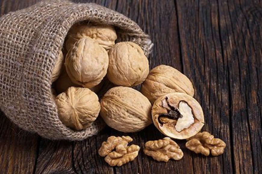 Top Walnuts Brands & Suppliers in India – Shop Now!
