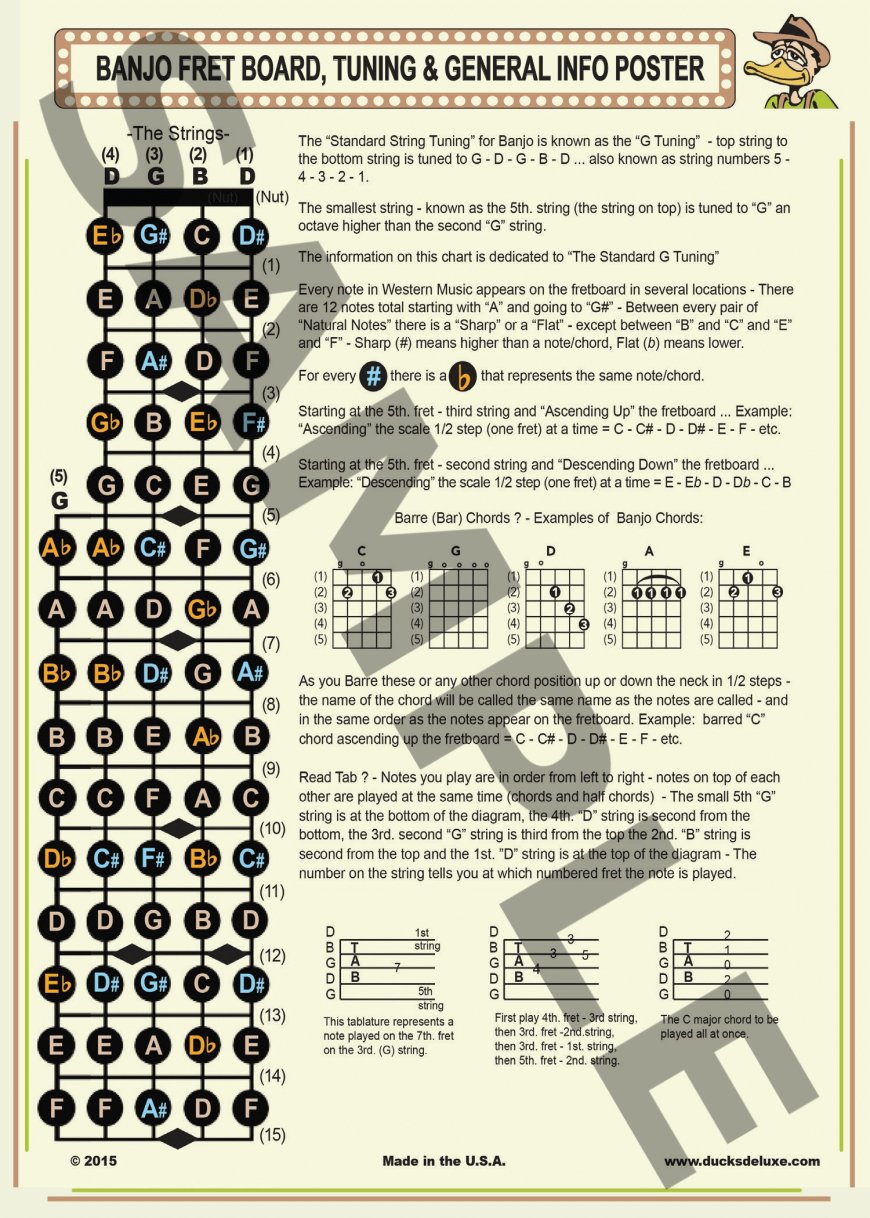 Unlocking the Neck: A Guide to Banjo Fret Notes