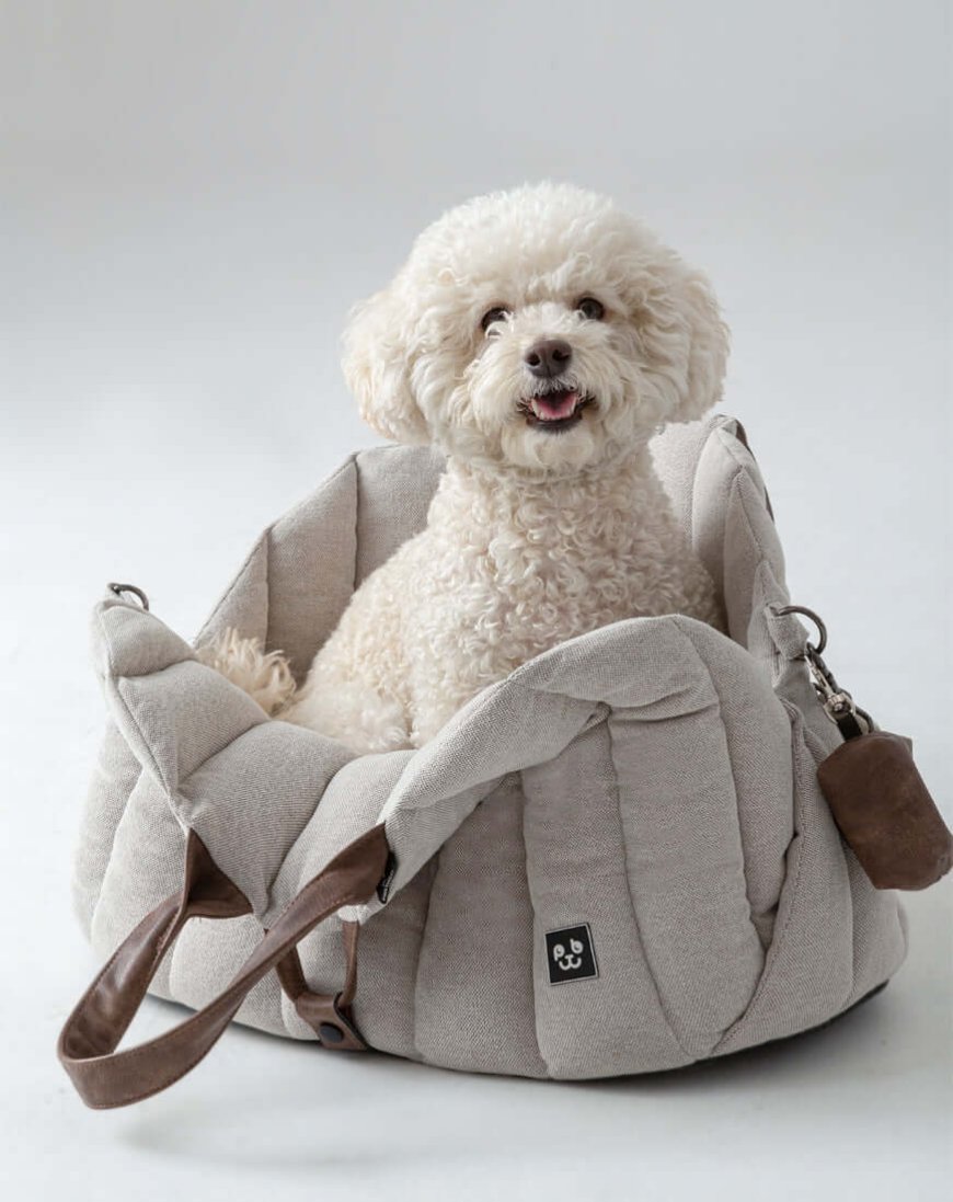 Exploring the World with Your Pet: Why a Dog Travel Suitcase is a Must-Have