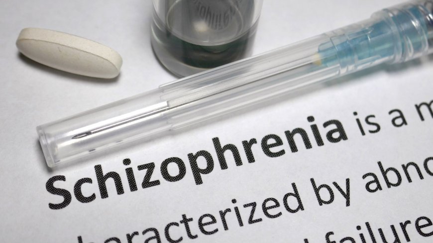 Schizophrenia Drugs Market to Surpass USD Billion by 2033, Driven by Innovation in Antipsychotics and Rising Mental Health Awareness – Renub Research